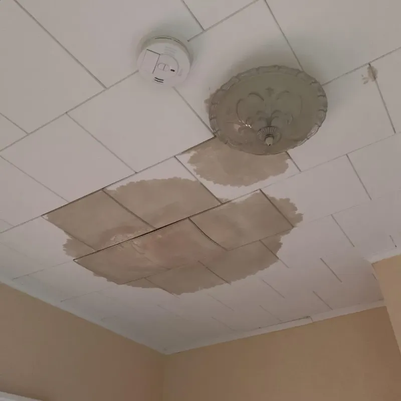 Ceiling Water Damage Repair in Cottonport, LA