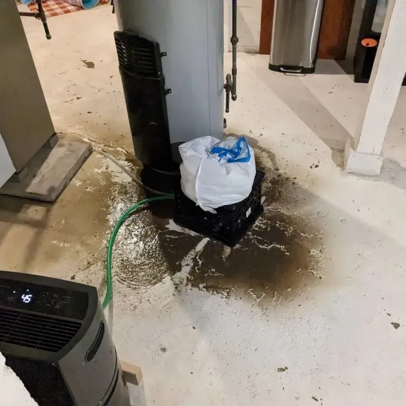 Sewage Backup Cleanup Service in Cottonport, LA